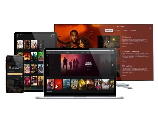 Abonnement IPTV Belgique compatible avec tous les appareils et assistants vocaux
